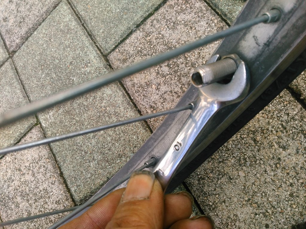 Kimg1703