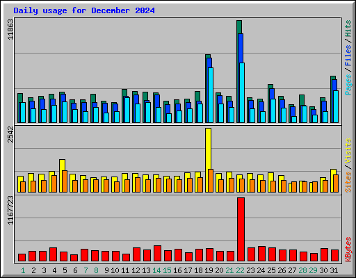 Daily usage for December 2024