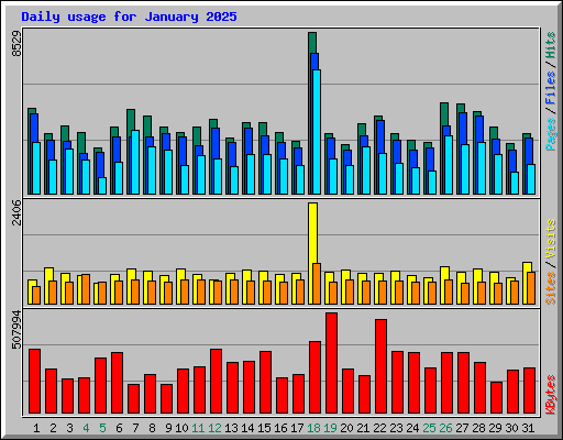 Daily usage for January 2025