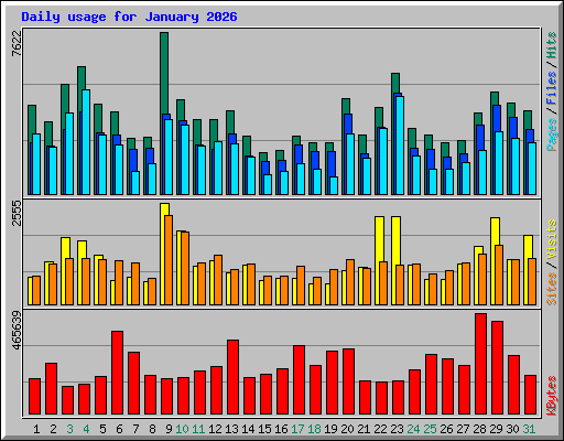 Daily usage for January 2026