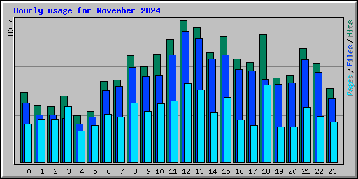Hourly usage for November 2024