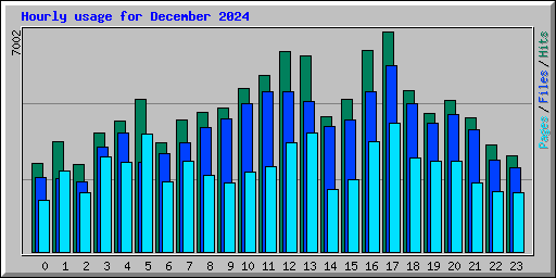 Hourly usage for December 2024