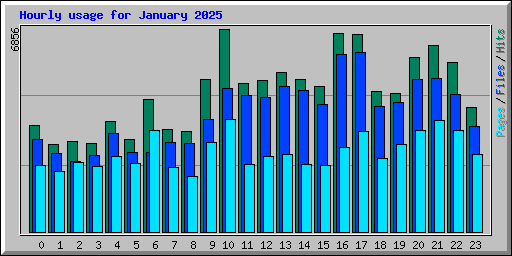 Hourly usage for January 2025