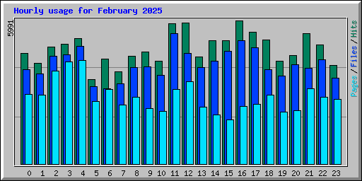 Hourly usage for February 2025