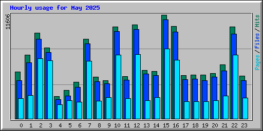 Hourly usage for May 2025