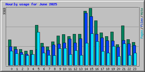 Hourly usage for June 2025