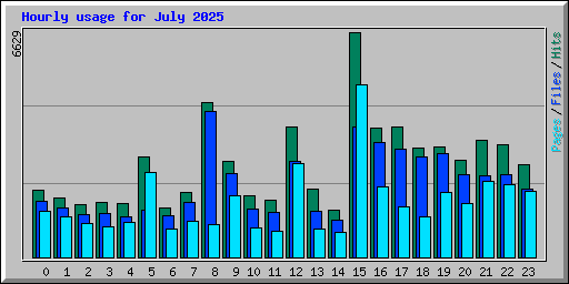 Hourly usage for July 2025