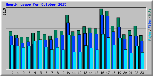 Hourly usage for October 2025