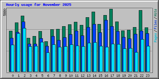 Hourly usage for November 2025