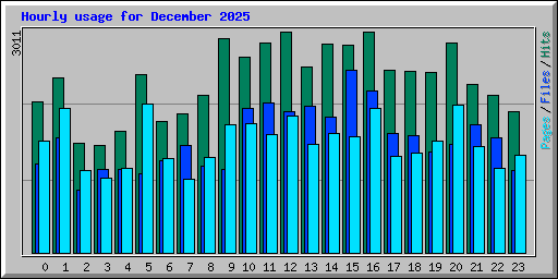 Hourly usage for December 2025